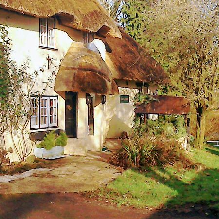 The Crown Inn Alvediston エクステリア 写真