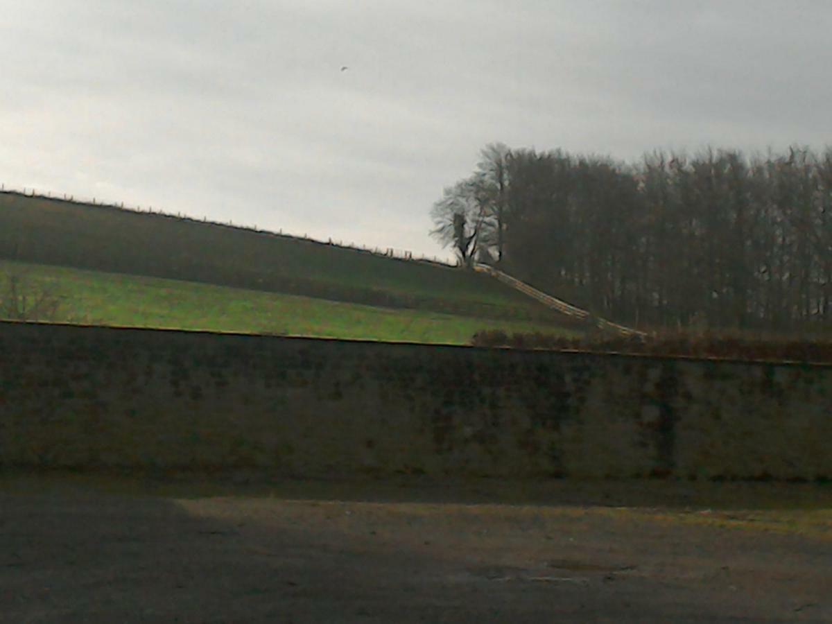 The Crown Inn Alvediston エクステリア 写真