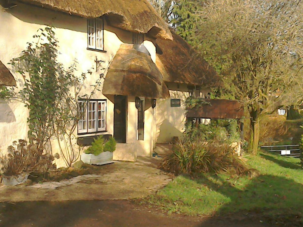 The Crown Inn Alvediston エクステリア 写真