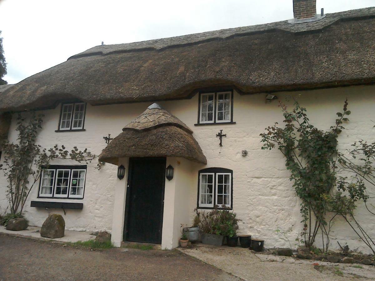 The Crown Inn Alvediston エクステリア 写真