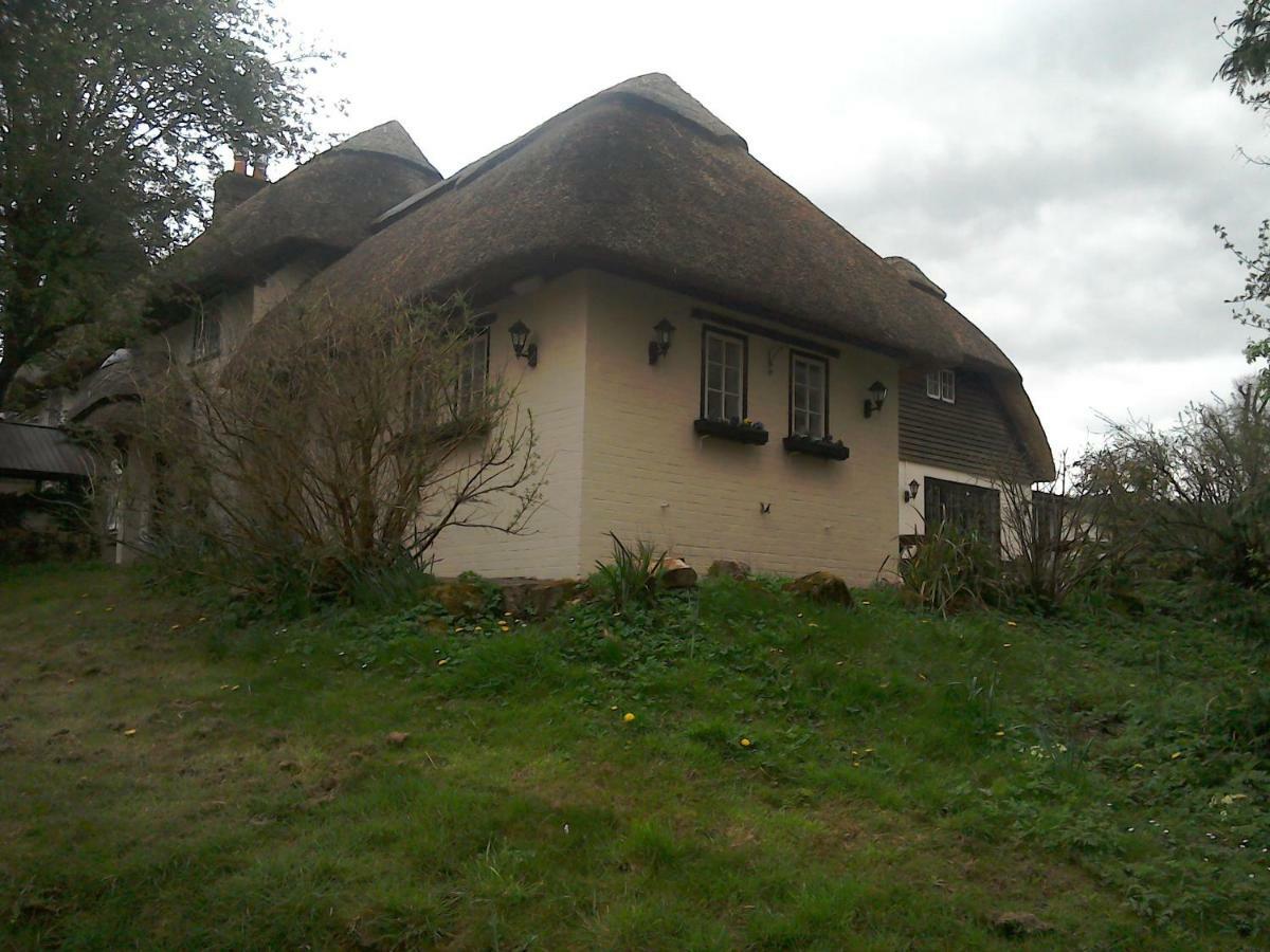 The Crown Inn Alvediston エクステリア 写真