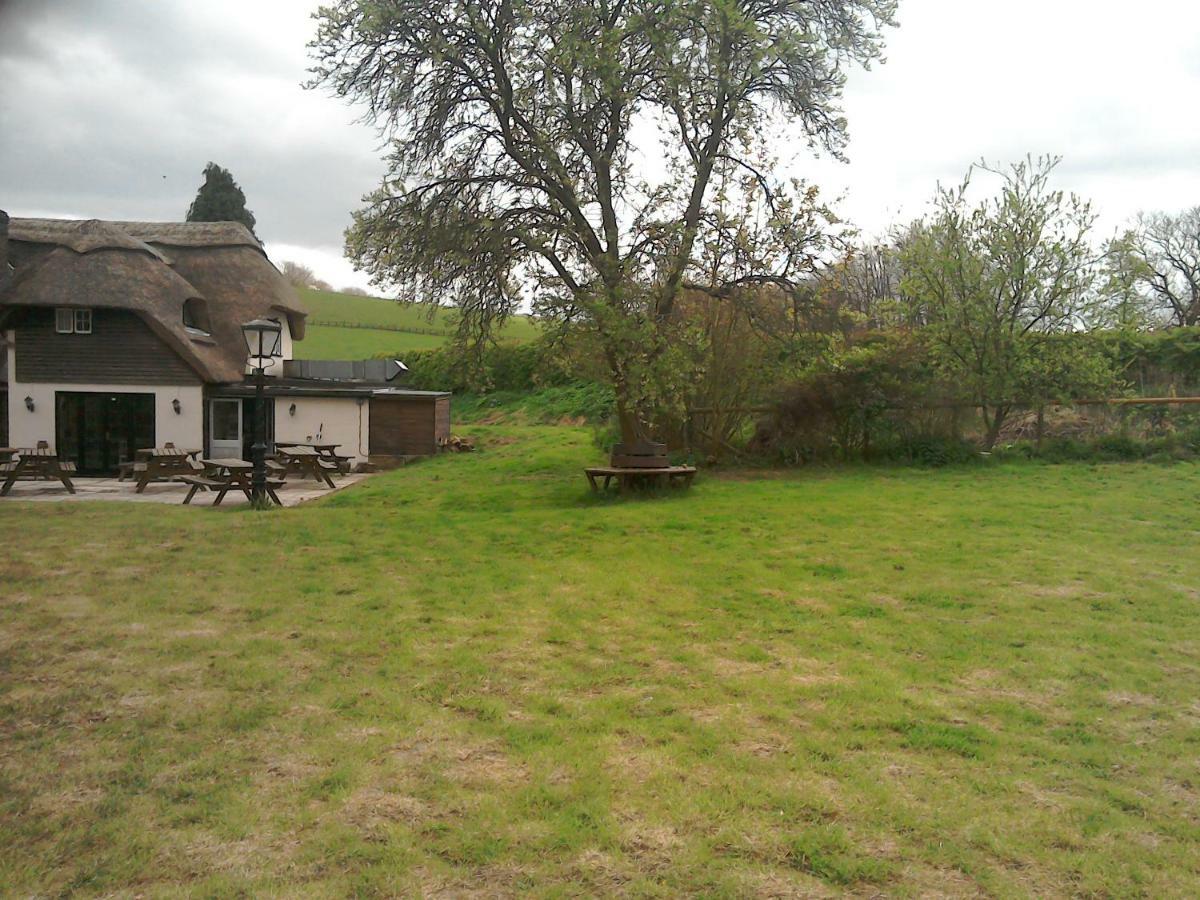 The Crown Inn Alvediston エクステリア 写真