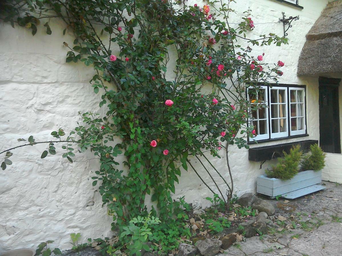 The Crown Inn Alvediston エクステリア 写真