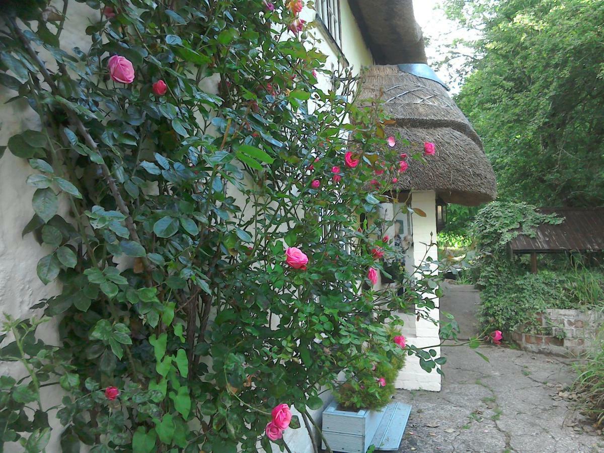 The Crown Inn Alvediston エクステリア 写真