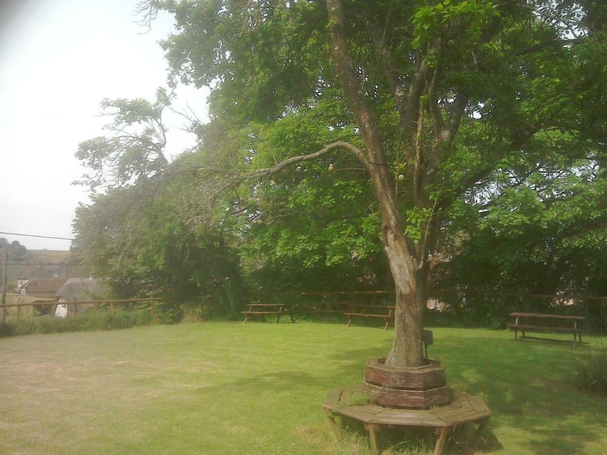 The Crown Inn Alvediston エクステリア 写真